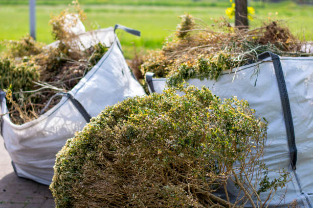 Best Demolition Debris Removal  in Hackleburg, AL