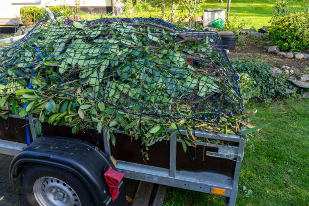 Best Yard Waste Removal  in Hackleburg, AL
